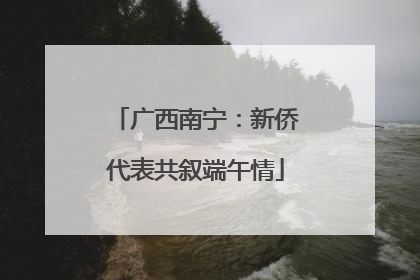 广西南宁：新侨代表共叙端午情