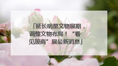 延长明星文物展期，调整文物布局！“看·见殷商”展最新消息