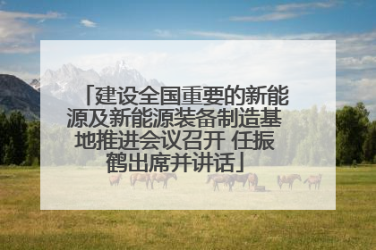 建设全国重要的新能源及新能源装备制造基地推进会议召开 任振鹤出席并讲话