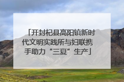 开封杞县高阳镇新时代文明实践所与妇联携手助力“三夏”生产