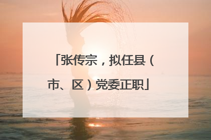 张传宗，拟任县（市、区）党委正职