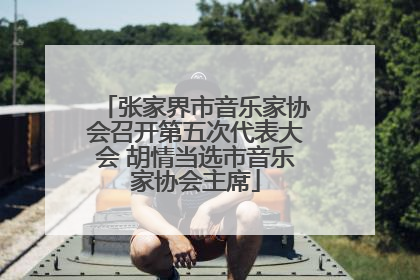 张家界市音乐家协会召开第五次代表大会 胡情当选市音乐家协会主席