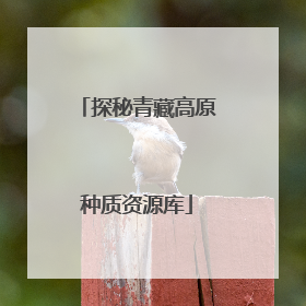 探秘青藏高原种质资源库