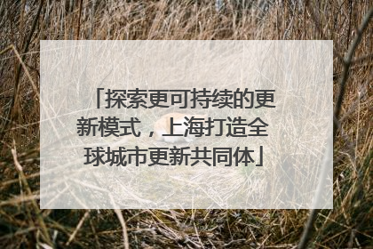 探索更可持续的更新模式，上海打造全球城市更新共同体