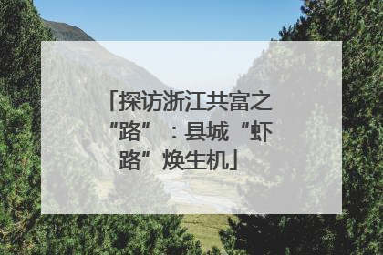 探访浙江共富之“路”：县城“虾路”焕生机