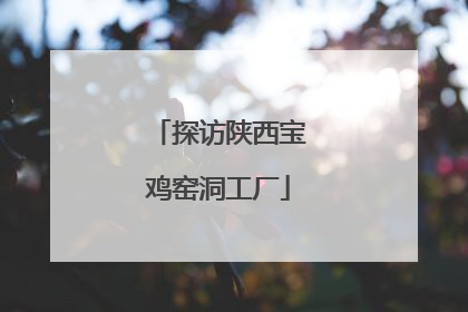 探访陕西宝鸡窑洞工厂