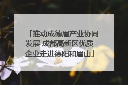 推动成德眉产业协同发展 成都高新区优质企业走进德阳和眉山