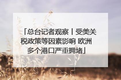 总台记者观察丨受美关税政策等因素影响 欧洲多个港口严重拥堵