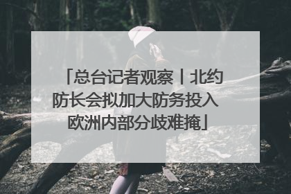 总台记者观察丨北约防长会拟加大防务投入 欧洲内部分歧难掩