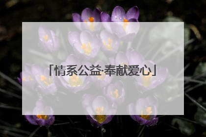 情系公益·奉献爱心