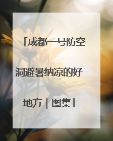 成都一号防空洞避暑纳凉的好地方｜图集