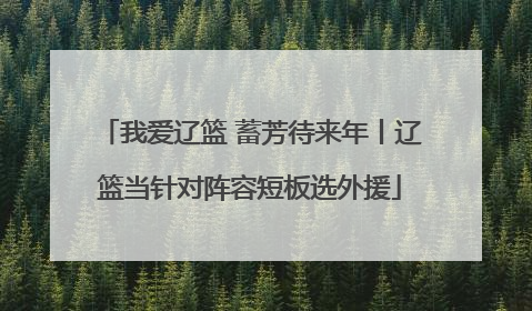 我爱辽篮 蓄芳待来年丨辽篮当针对阵容短板选外援