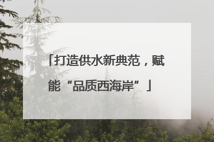 打造供水新典范，赋能“品质西海岸”