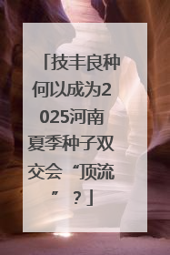技丰良种何以成为2025河南夏季种子双交会“顶流”？