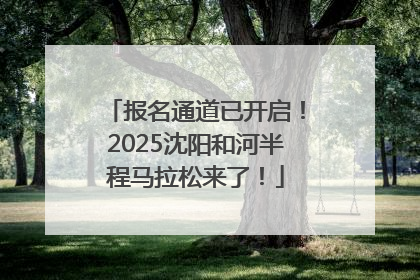 报名通道已开启！2025沈阳和河半程马拉松来了！