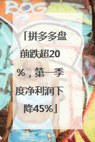 拼多多盘前跌超20%，第一季度净利润下降45%