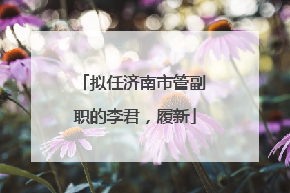 拟任济南市管副职的李君，履新