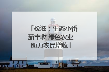 松滋：生态小番茄丰收 绿色农业助力农民增收
