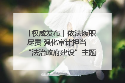 权威发布｜依法履职尽责 强化审计担当 “法治政府建设”主题系列新闻发布会市审计局专场召开