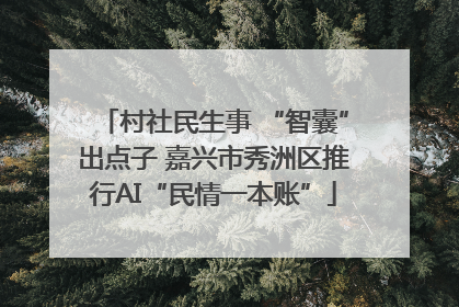 村社民生事 “智囊”出点子 嘉兴市秀洲区推行AI“民情一本账”