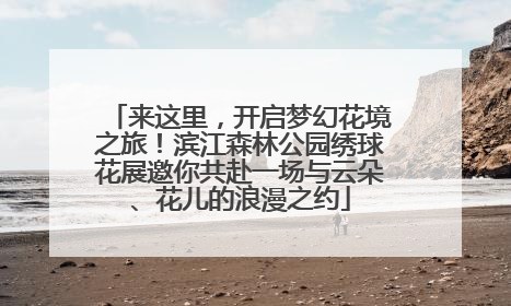 来这里，开启梦幻花境之旅！滨江森林公园绣球花展邀你共赴一场与云朵、花儿的浪漫之约