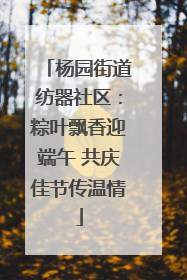 杨园街道纺器社区：粽叶飘香迎端午 共庆佳节传温情