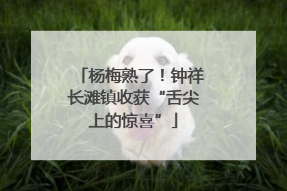 杨梅熟了！钟祥长滩镇收获“舌尖上的惊喜”