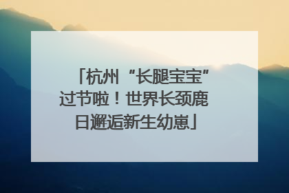 杭州“长腿宝宝”过节啦！世界长颈鹿日邂逅新生幼崽