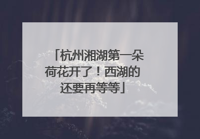 杭州湘湖第一朵荷花开了！西湖的还要再等等