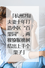 杭州7旬夫妻十年打造小区“百果园”，两棵猕猴桃树结出上千个果子