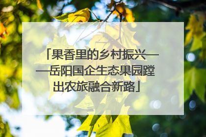 果香里的乡村振兴——岳阳国企生态果园蹚出农旅融合新路