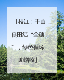 枝江：千亩良田结“金穗”，绿色循环助增收