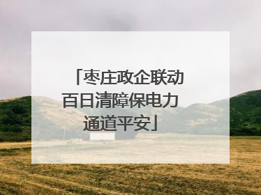 枣庄政企联动百日清障保电力通道平安