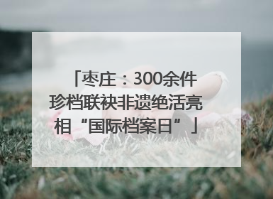 枣庄：300余件珍档联袂非遗绝活亮相“国际档案日”