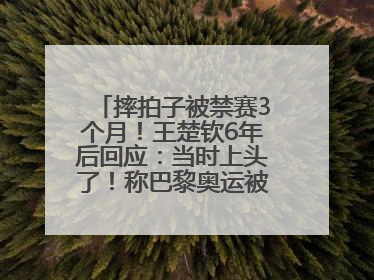 摔拍子被禁赛3个月！王楚钦6年后回应：当时上头了！称巴黎奥运被孙颖莎带着打，搭档8年“一个眼神就能懂”