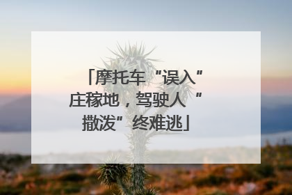 摩托车“误入”庄稼地，驾驶人“撒泼”终难逃