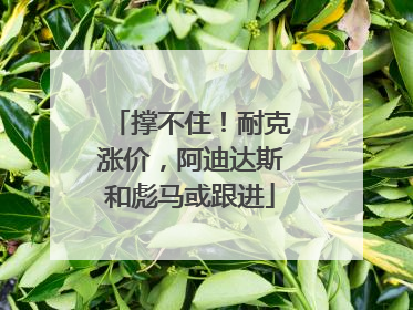 撑不住！耐克涨价，阿迪达斯和彪马或跟进