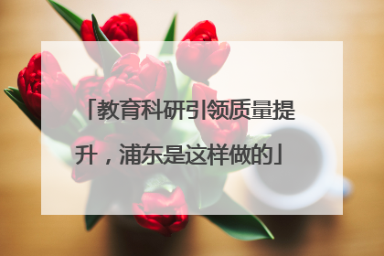 教育科研引领质量提升，浦东是这样做的