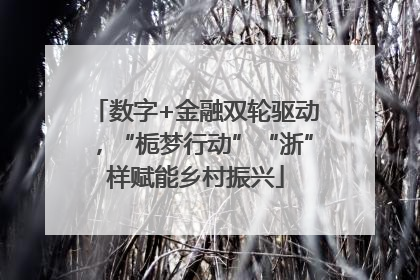 数字+金融双轮驱动，“栀梦行动”“浙”样赋能乡村振兴