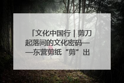 文化中国行｜剪刀起落间的文化密码——东营剪纸“剪”出非遗传承与现代生活的融合之道