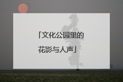 文化公园里的花影与人声