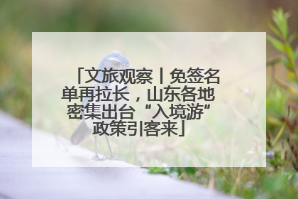 文旅观察丨免签名单再拉长，山东各地密集出台“入境游”政策引客来