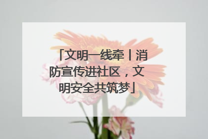 文明一线牵丨消防宣传进社区，文明安全共筑梦