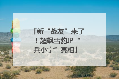 新“战友”来了！超飒雪豹IP“兵小宁”亮相