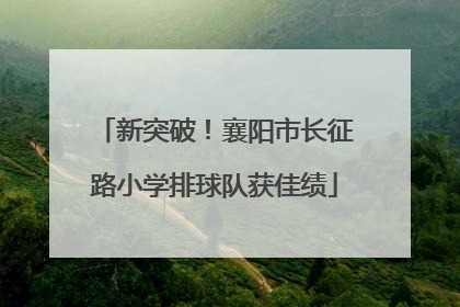 新突破！襄阳市长征路小学排球队获佳绩
