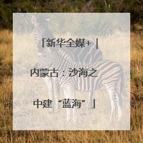 新华全媒+｜内蒙古：沙海之中建“蓝海”