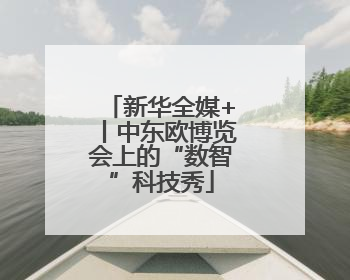 新华全媒+丨中东欧博览会上的“数智”科技秀