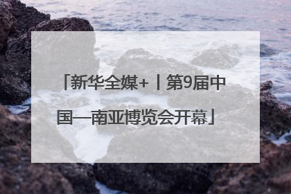 新华全媒+丨第9届中国—南亚博览会开幕