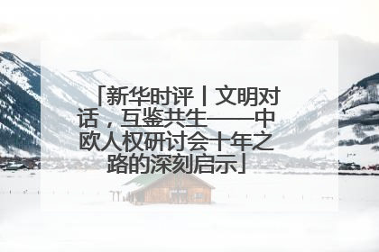 新华时评丨文明对话，互鉴共生——中欧人权研讨会十年之路的深刻启示