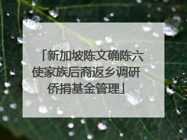 新加坡陈文确陈六使家族后裔返乡调研侨捐基金管理